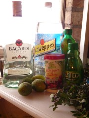 Cranberry Mojito Ingredients
